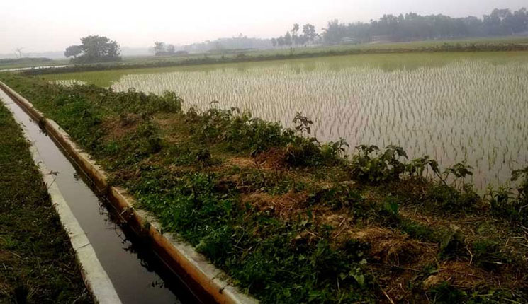 হালুয়াঘাটের পাহাড়ি অঞ্চলে রাবার ড্যামে বদলে গেছে কৃষকদের জীবন