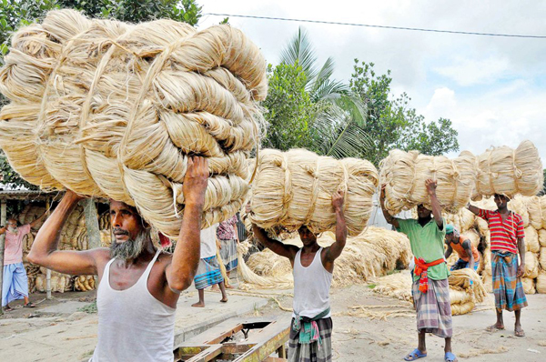 পাট খাতে অবদানের জন্য পুরস্কার পাচ্ছেন ১১ ব্যক্তি ও প্রতিষ্ঠান