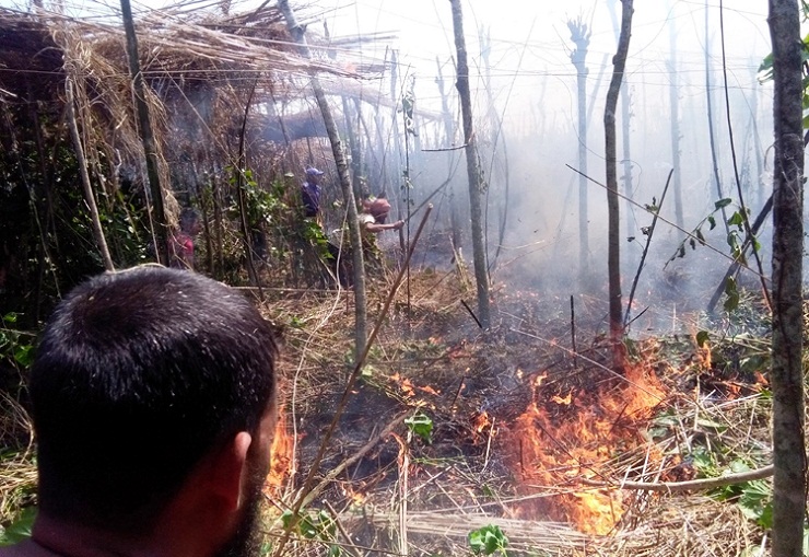 আগুনে পুড়ল ১০ বিঘা জমির পান, জ্ঞান হারালেন চাষি