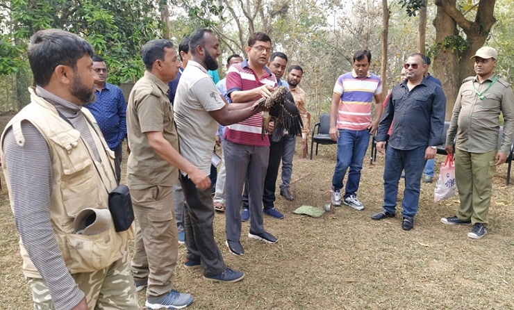 বাংলা শকুন ও বাজপাখি অবমুক্ত