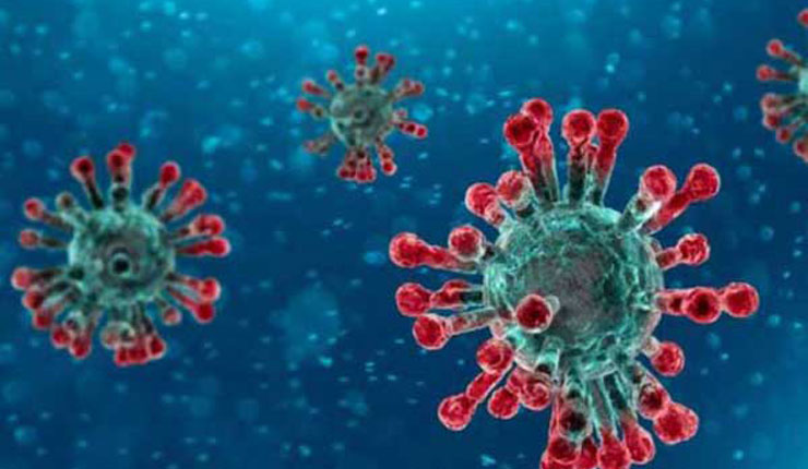 ১৭ জেলায় হোম কোয়ারেন্টাইনে ২১৫ জন