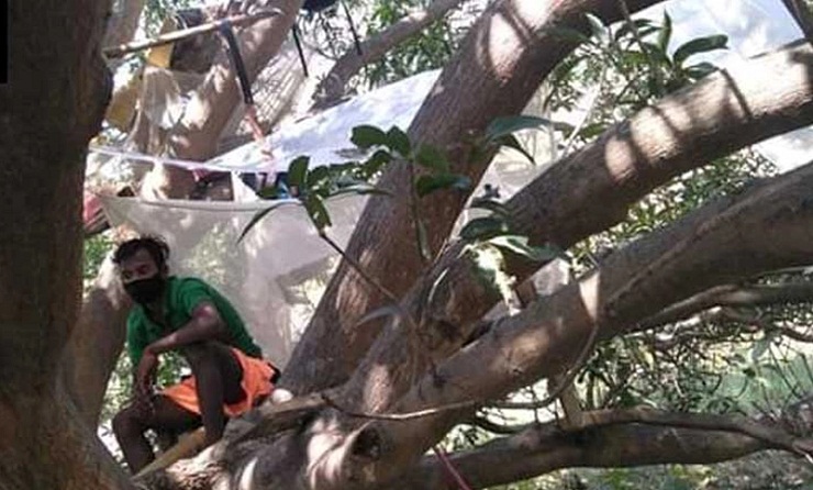 বাড়তি ঘর নেই, গাছেই কোয়ারেন্টিনে ৭ যুবক! (ভিডিও)