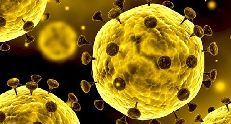 নিউ জিল্যান্ডে করোনায় প্রথম ব্যক্তির মৃত্যু