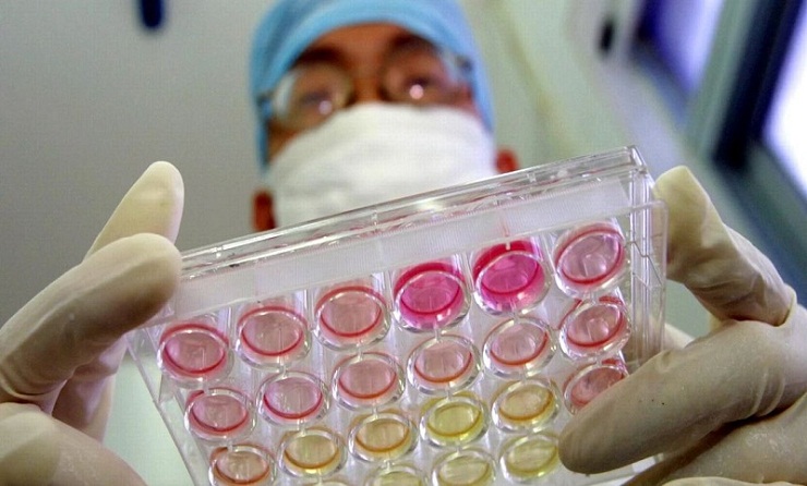 করোনা বহু বছর আগে থেকেই মানবদেহে ছিল!