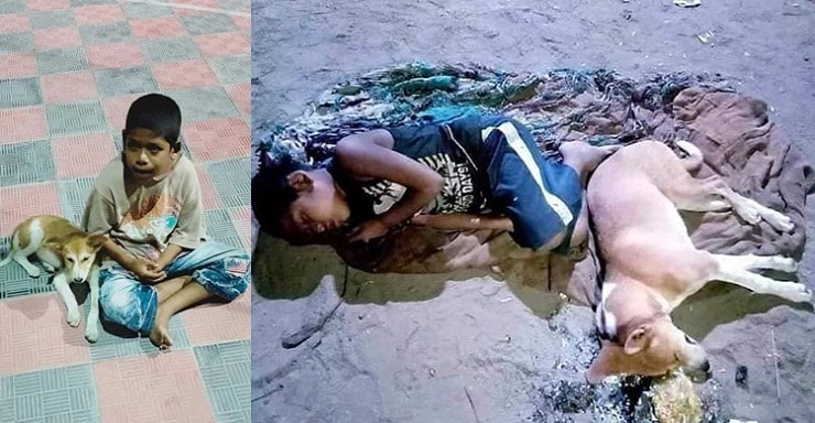 ডিসির বাংলোর অতিথি এখন ইমনের কুকুরটি