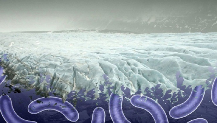 তাপমাত্রা বাড়ায় জেগে উঠছে বরফে চাপা পড়া প্রাণঘাতী ভাইরাস