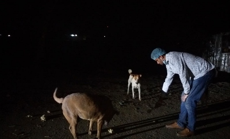 অভুক্ত বেওয়ারিশ কুকুরের পাশে সাংবাদিক ও পুলিশ
