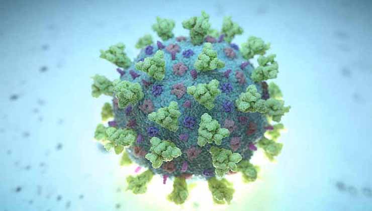 সংবাদপত্র, কাপড়, জুতা, চুল থেকে করোনাভাইরাস ছড়ায় না