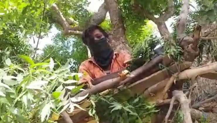 নিয়ম মানতে নিমগাছে কোয়ারেন্টিনে!