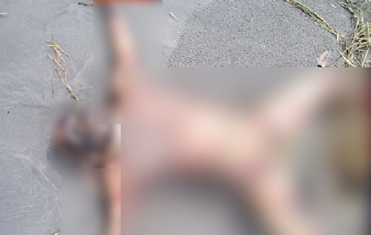 নোয়াখালীতে ব্রিজের নিচে মিলল অর্ধগলিত লাশ