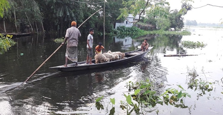কমছে তিস্তার পানি বাড়ছে মানুষের দুর্ভোগ