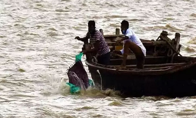করোনায় মৃতদেহ ছুড়ে ফেলা হচ্ছে গঙ্গায়!