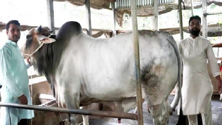 এবার ২৫ লাখ টাকায় মিলবে ‘মেসি’