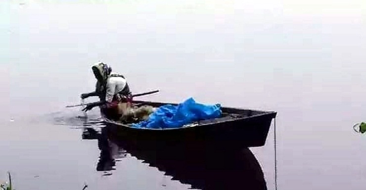 স্বামীর কাজ বন্ধ, নদীতে মাছ ধরে সংসার চালাচ্ছেন দিলারা
