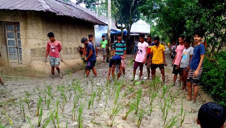কাঁচা রাস্তায় ধান লাগিয়ে গ্রামবাসীর প্রতিবাদ