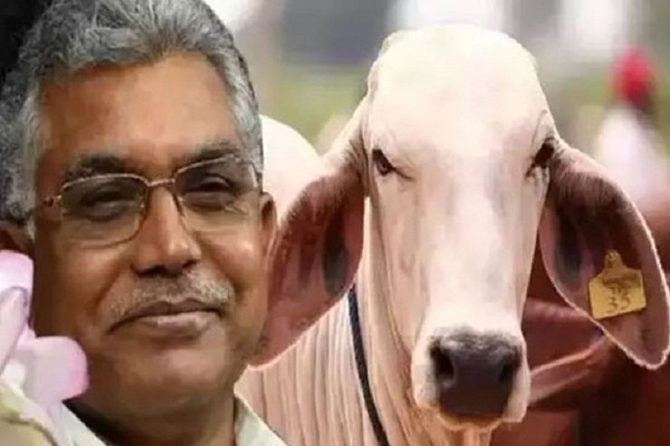 গোমূত্র পান করি তাই ভালো থাকিins class=