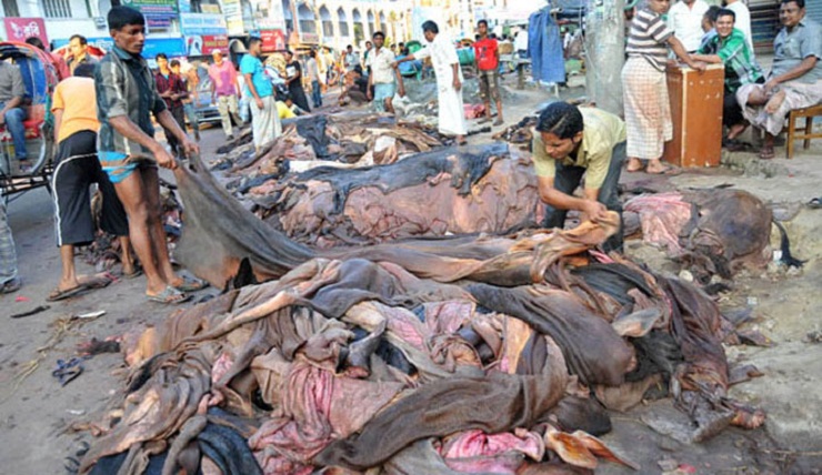 কোরবানি পশুর চামড়ার দাম নির্ধারণ
