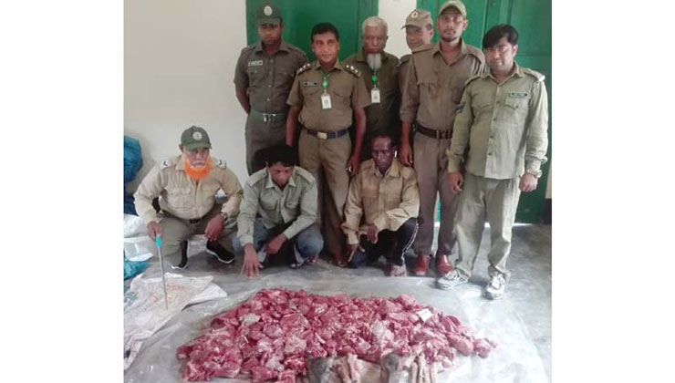 পা-মাথাসহ হরিণের ৩০ কেজি মাংস উদ্ধার