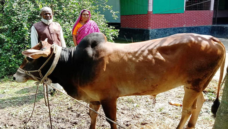 প্রধানমন্ত্রীর নামে ১১ বছর ধরে কোরবানি দিচ্ছেন জাবেদ
