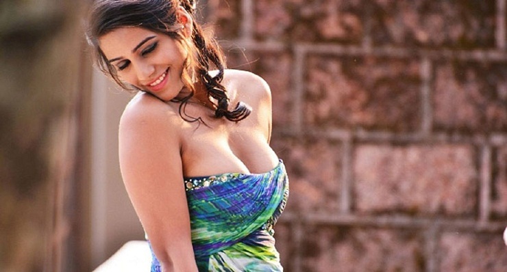 ঝড় তুলেছে পুনম পান্ডের খোলামেলা ভিডিও