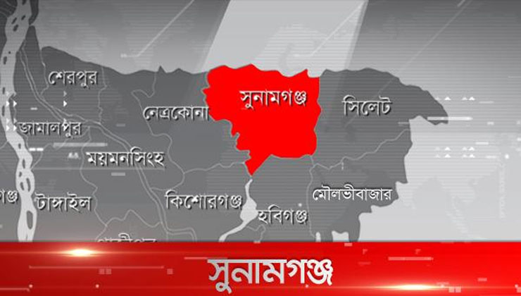 অভিমানে বোনের আত্মহত্যা, ভাই আশঙ্কাজনক