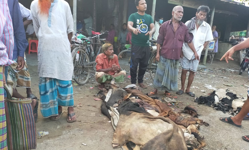 ১০ থেকে ৩০০ টাকায় ছাগল-গরুর চামড়া