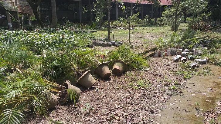 কালীগঞ্জে রিসোর্টে সন্ত্রাসী হামলা, অগ্নিসংযোগ, লুটপাট