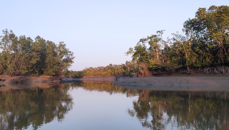 সুন্দরবনে অবৈধ অনুপ্রবেশ : ঢাকা উত্তর ছাত্রলীগ সভাপতিসহ আটক ৪৮