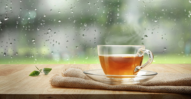 চা পান করলে মস্তিষ্ক ভালো থাকে, বলছে গবেষণা