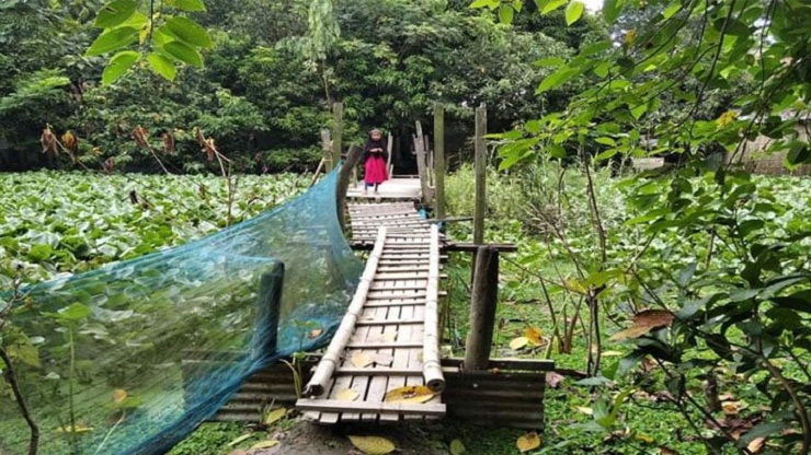 পুল সংস্কার না করেই পুরো টাকা চেয়ারম্যানের পকেটে! 