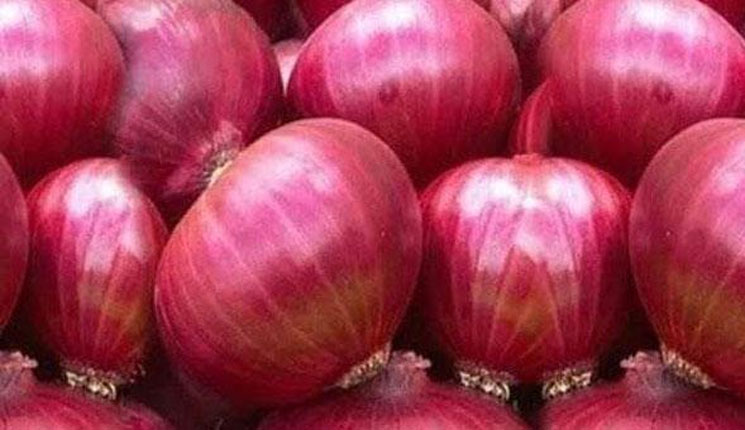 পাইকারি বাজারে কমতে শুরু করেছে পেঁয়াজের দাম