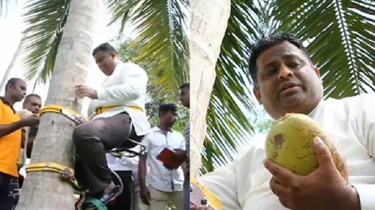 দেশে নারিকেলের সংকট বোঝাতে গাছে উঠে ভাষণ দিলেন মন্ত্রী