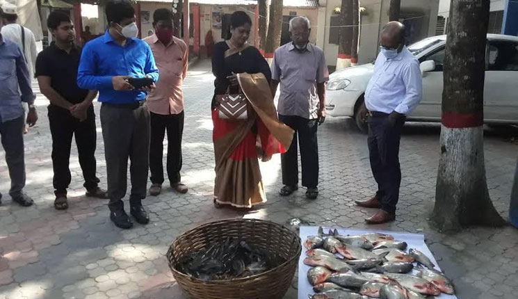 ত্রিশালে ২০ কেজি নিষিদ্ধ পিরানহা মাছ ও ৬০ কেজি আফ্রিকান মাগুর জব্দ 