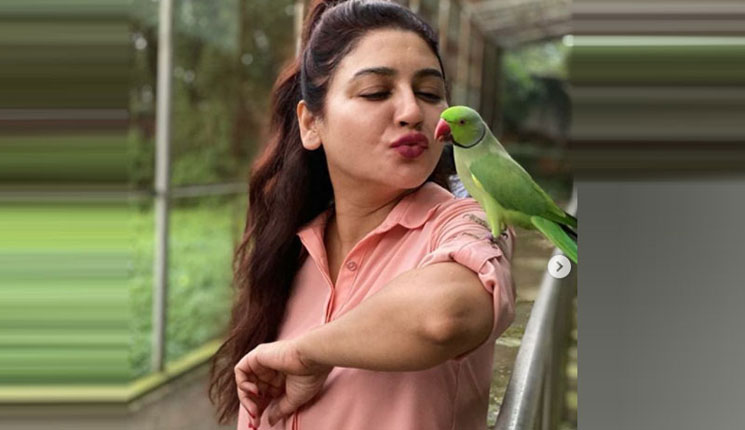 জয়ার ওপরে টিয়া পাখির বিশ্বাস!