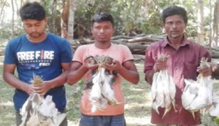 ডোমারে পাখি শিকার করায় তিনজনের কারাদণ্ড