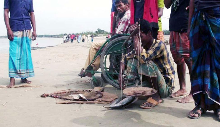 নিশ্চিন্তপুরে চলছে ‘নিশ্চিন্তে’ ইলিশ নিধন