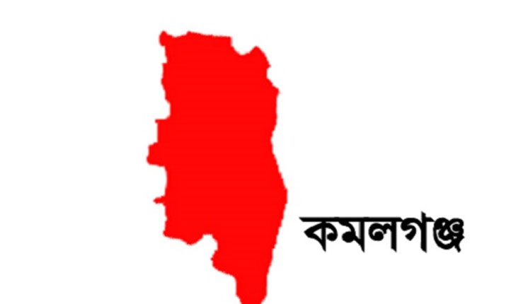 কমলগঞ্জে সরকারি কাজে বাধা, মামলায় গ্রেফতার ৮