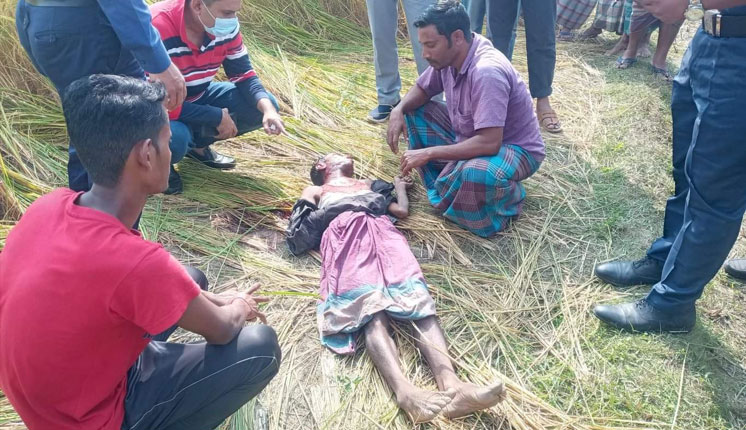 প্রবাসীর বাড়ির কেয়ারটেকারকে কুপিয়ে হত্যা, লাশ মিললো ধানক্ষেতে