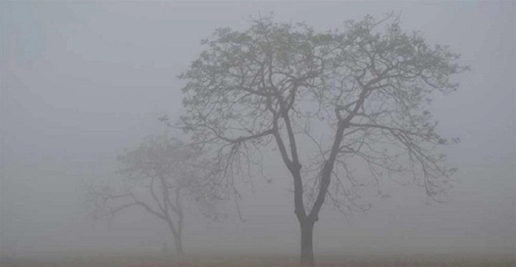 সপ্তাহ পেরোলেই আসতে পারে শৈত্যপ্রবাহ