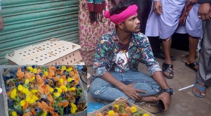 মুরগির বাচ্চার গায়ে রঙ লাগিয়ে প্রতারণা!