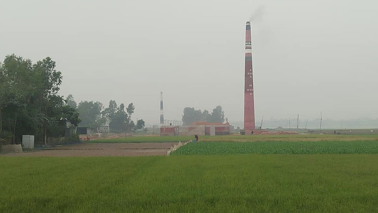 ইসলামপুরে ইটভাটায় নষ্ট হচ্ছে ফসলি জমি ধুলোবালিতে জন জীবন অতিষ্ঠ