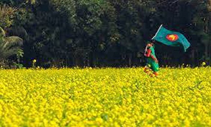 ঝিনাইদহের পথে ঘাটে উড়ছে লাল সবুজের পতাকা