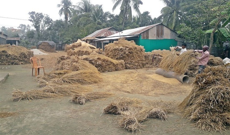 ময়মনসিংহ বিভাগের শ্রমিকদের মাঝে উন্নয়নের ছোয়ায় প্রাণচাঞ্চল‍্যোর সৃষ্টি হয়েছে