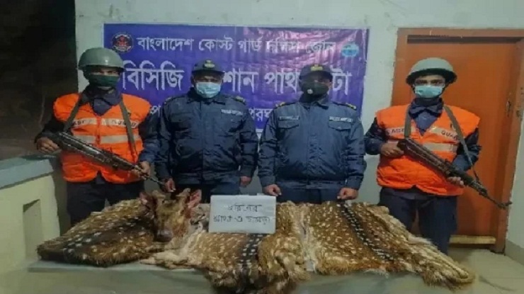 পাথরঘাটা থেকে তিনটি হরিণের মাথা ও চামড়া উদ্ধার