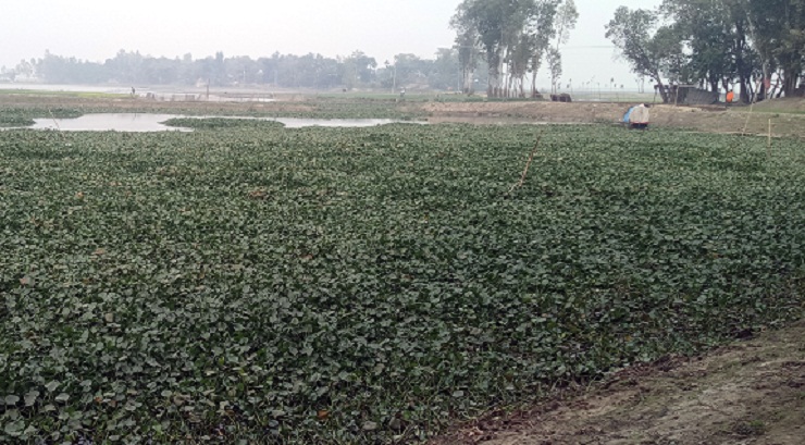 রাণীনগরের বৈঠাখালি বিল নিয়ে সংঘর্ষের আশংকা