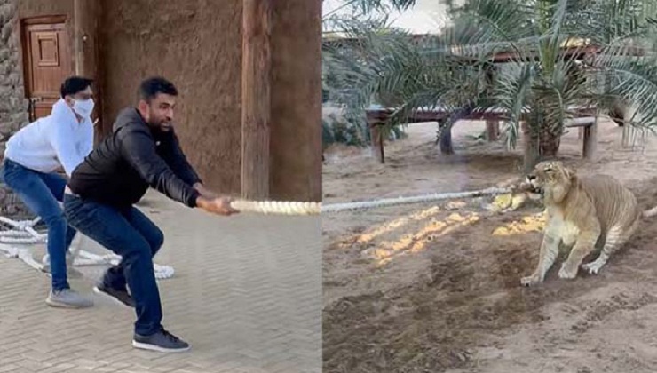 বাঘের সঙ্গে লড়াইয়ে তামিম!