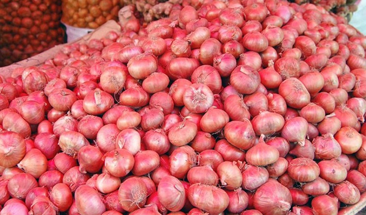 ভারত থেকে আমদানির খবরে দাম কমেছে পেঁয়াজের