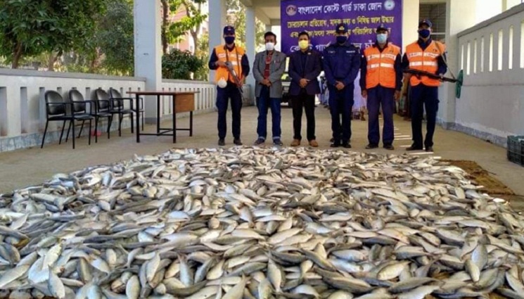 যাত্রীবাহী লঞ্চ থেকে ২৫০০ কেজি জাটকা জব্দ