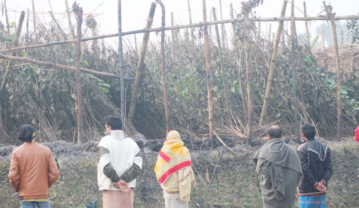 বাগমারায় দুর্বৃত্তদের দেয়া আগুনে কৃষকের পান বরজ পুড়ে ভষ্মিভূত
