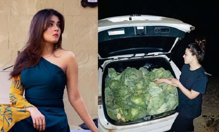 ১০০ বাঁধাকপি কেন কিনলেন নায়িকা মাহি?